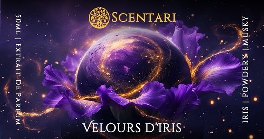 Velours d’Iris | Extrait de Parfum